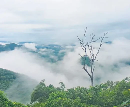 Lambasingi Hill Station123